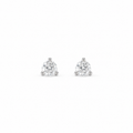 0.5ct Stud Earrings